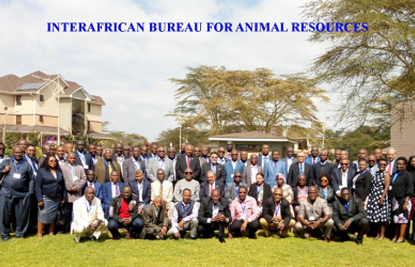 Africa Animal Strategy 470X250